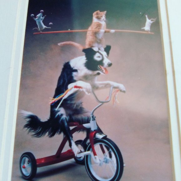 Rick Dublin "Balancing Act" art print dog on bike cat mouse 8x10 with border 5x7 - Picture 2 of 7